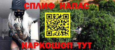 индика Новокубанск