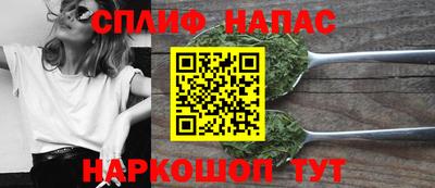 индика Новокубанск