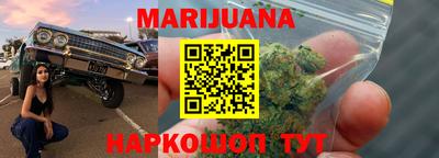 крисы Новозыбков